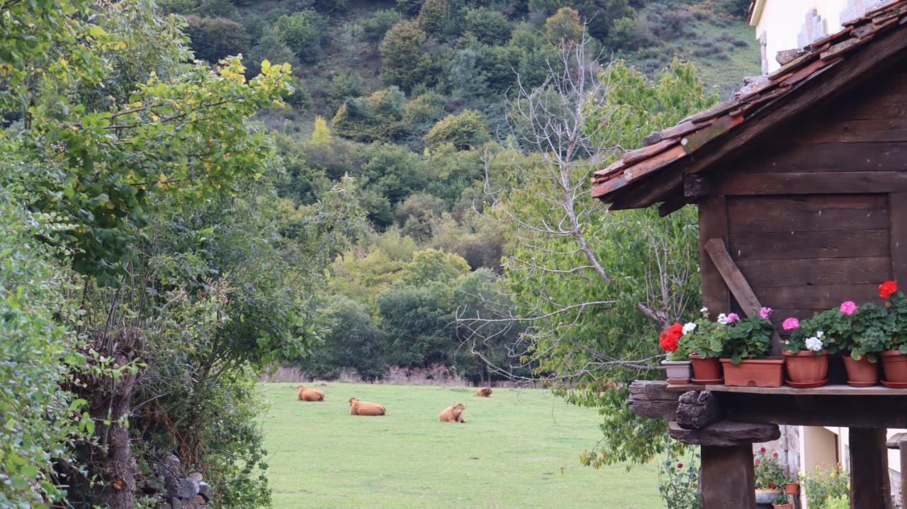 Casa Rural Cares Santa Maria de Valdeon Eksteriør billede